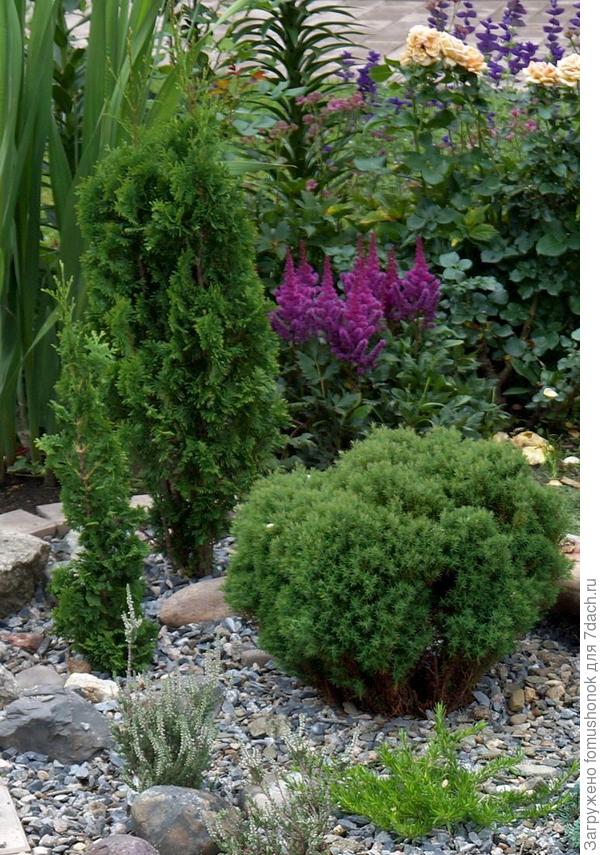 После второй пересадки.