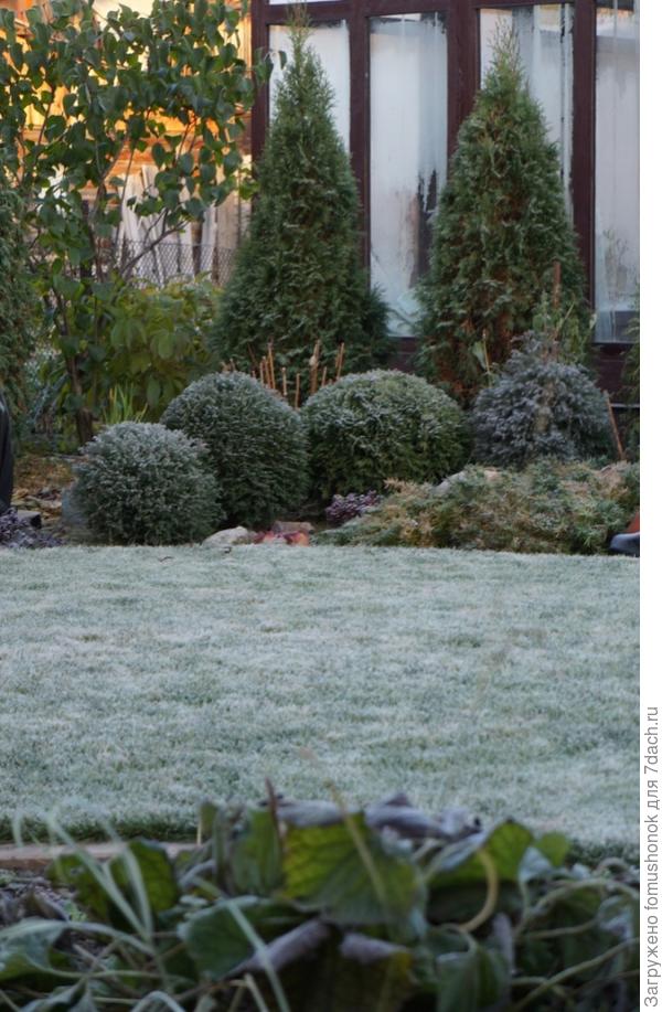 Есть ещё "группа товарищей". Над ними на садовые скамеечки уложила поддон с притавоканной степлером мешковиной.