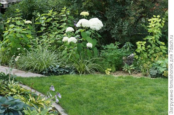 Таким он был в июле 2017го.. Справа в кадре, чуть левее манжетки.