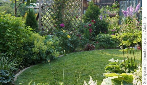 На этом снимке июль 2018. Пузыреплодник в левом углу кадра. Видно, как он нарос за год.