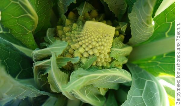 Наконец-то завязалась!