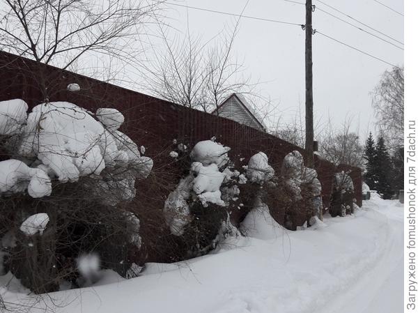 В обществе вдоль дороги сказочные &quot;стражники&quot; стоят,