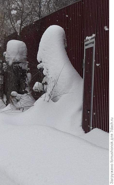 у соседской калитки сидит &quot;гном&quot; в высокой шапке.