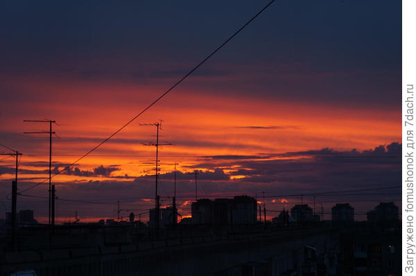 И городские!