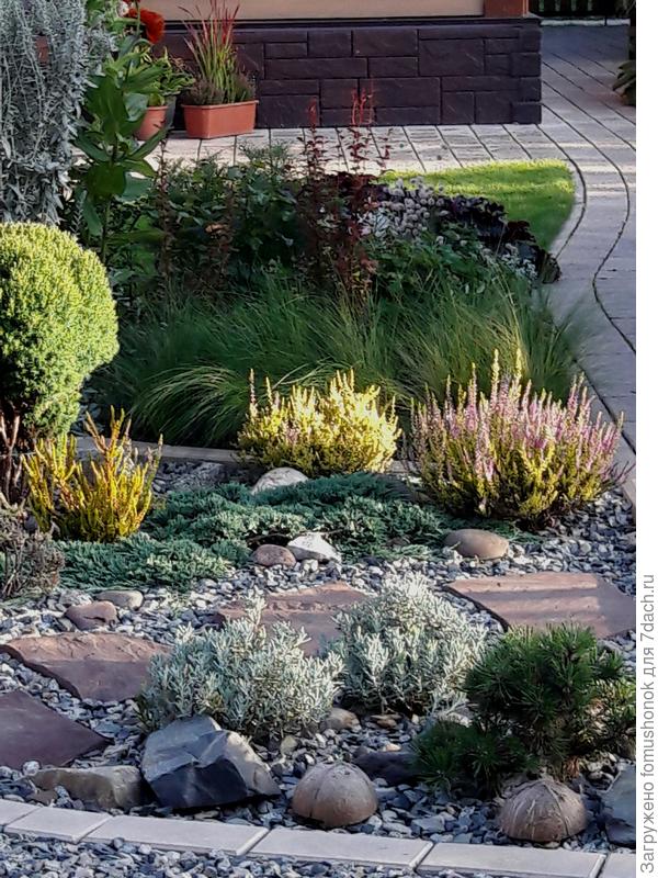 Пока так выглядит. И место &quot;сэкономлено&quot;, и плавный переход от цветников к огородной зоне с отсыпкой. Внучка постоянно мне тут дизайн &quot;поправляет&quot; то шишками, то кокосами.))