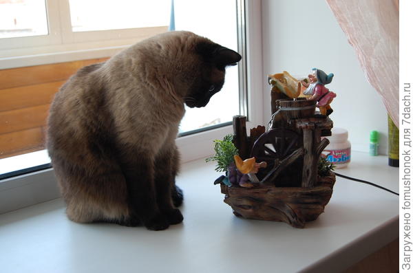 Мои развлечения. Люблю смотреть, как гномики работают!