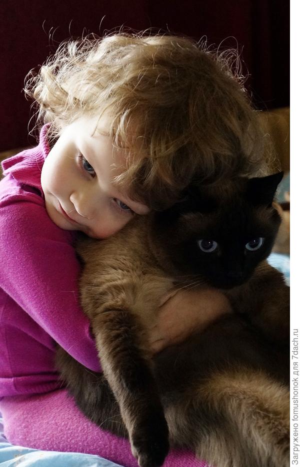 Вот такая она - дружба!)