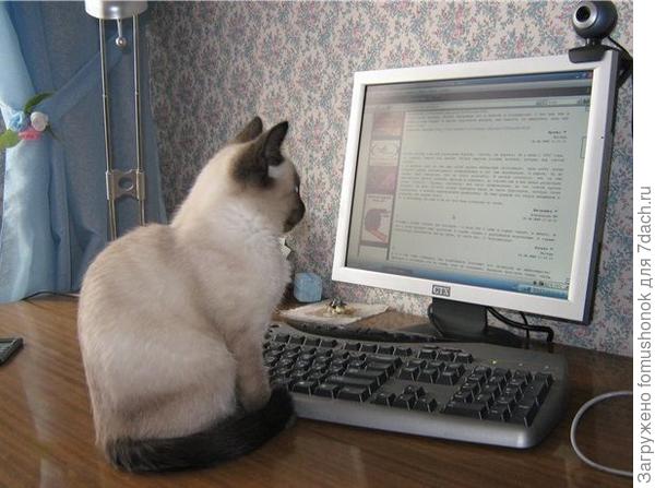 Учусь читать!