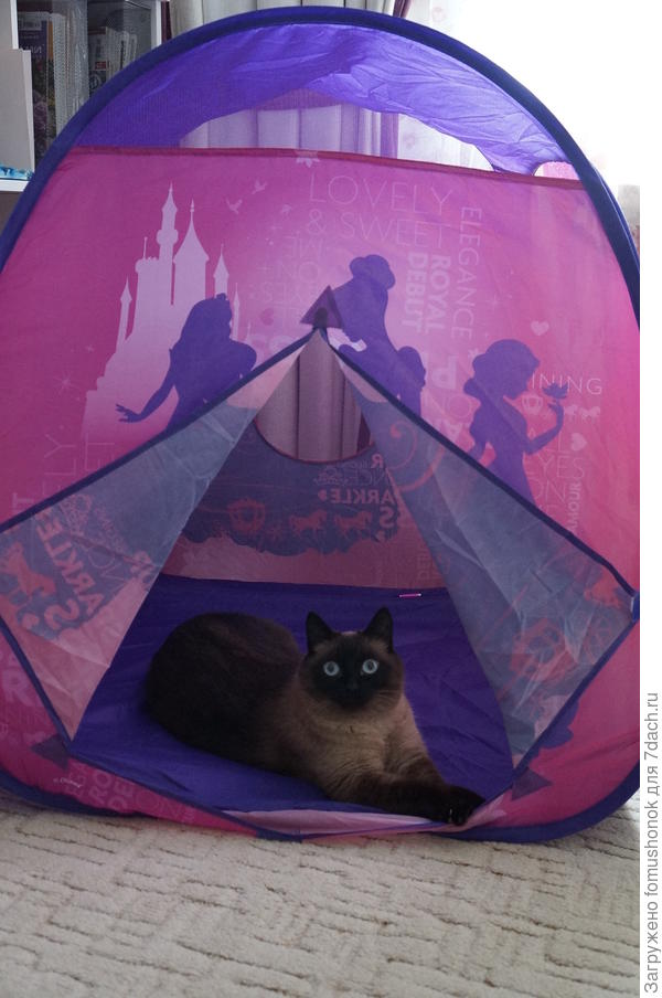 Это моя комната отдыха.