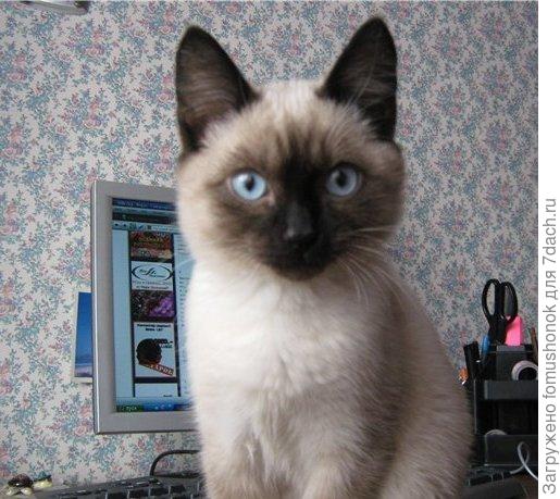 Здрасьте! Это я!