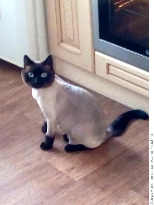 А это меня в салон красоты свозили! К лету!