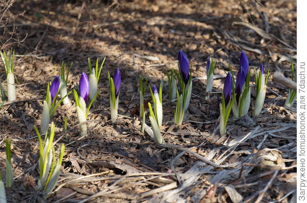 В воскресенье здесь был сугроб.