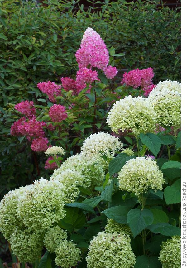 Мне так нравится, как сочетаются в конце лета малиновый цвет  Vanille Fraise с лаймовым Bounty!