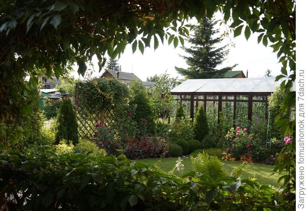 Конец июня. Отцветает.