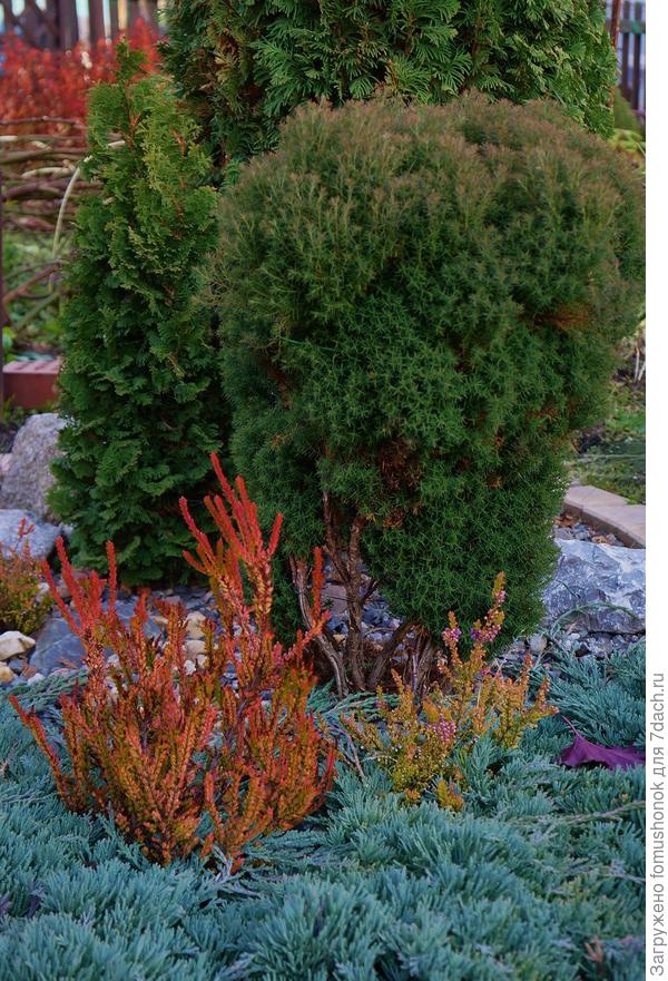 Так закончился сезон.