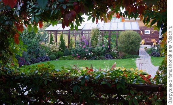 Мой любимый участочек! Уезжала и ещё не знала, что смогу вернуться сюда только во второй половине октября. Ковид.