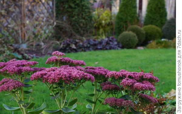 Вернуться, чтобы наскоро и кое-как всё укрыть.