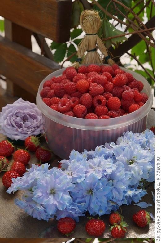 Вот я уменьшила фото. В папке моей оно вертикальное, повёрнуто в редакторе и сохранено. Загрузила - фото &amp;quot;легло&amp;quot;, но кнопочкой в комментарии удалось &amp;quot;&amp;quot;завертикалить&amp;quot;! Ну, что ж! Буду грузить поменьше фоток - муторно каждую копировать, сжимать и хранить. Или есть возможность уменьшить как-то все скопом? Ах, как же раньше удобно было  - при Яндекс-фотках, с превьюшками!..