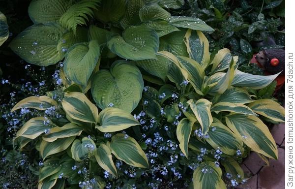 В верхней части кадра весенний &quot;окрас&quot;