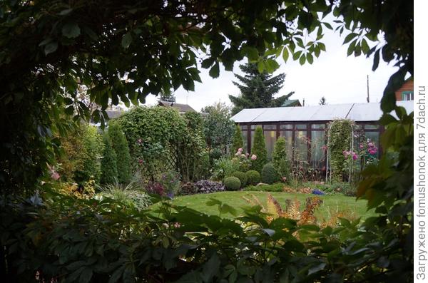 И просто портретики сентября...