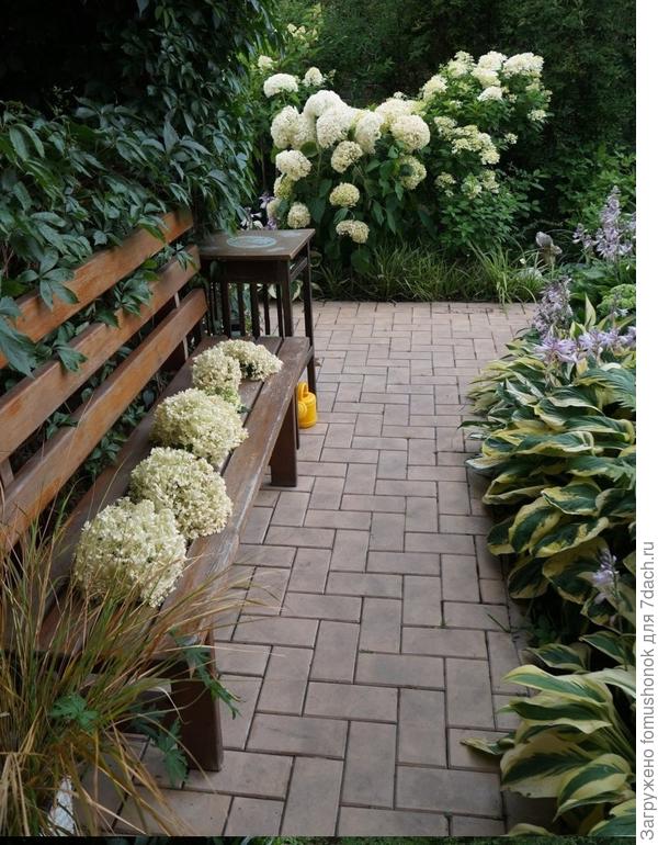 :) По обрезке - кому как удобнее! Я ещё буду ездить на дачу, поэтому  чуть-чуть попозже соцветия состригу.