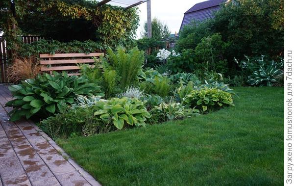 Часть хост моих. Конец июня.