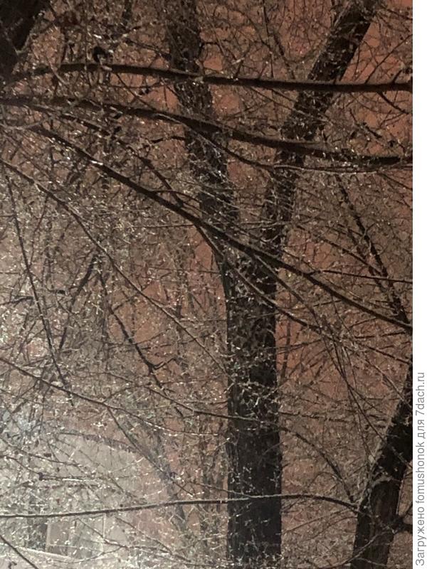 Каждая веточка в &quot;хрустале&quot;...