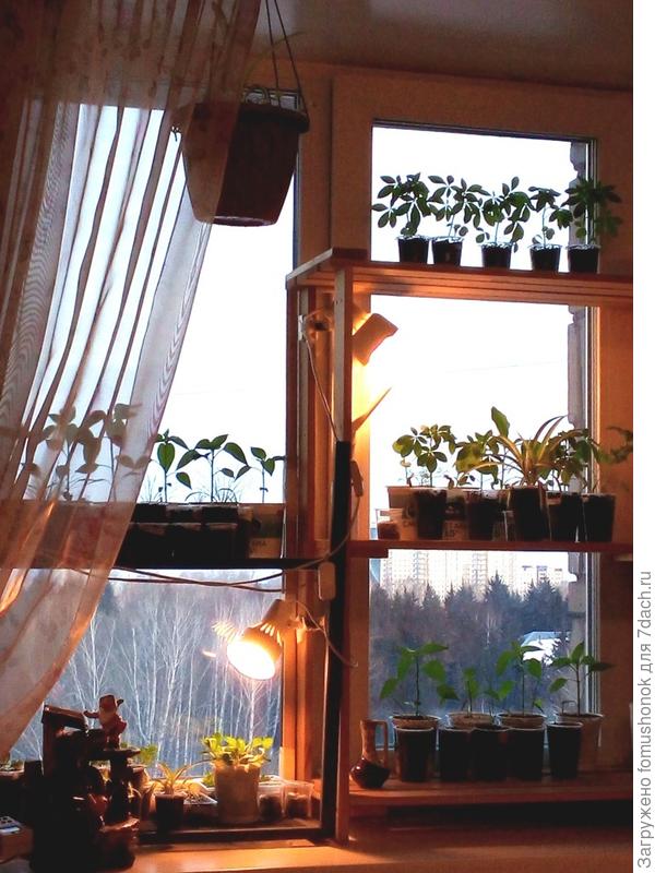 Вот тут он у меня справа.