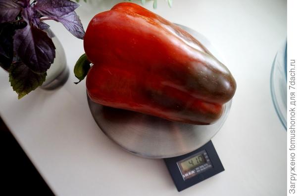 Были и такого веса &quot;перчиночки&quot;.