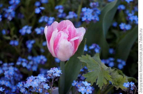 Фото не самые удачные, конечно, но других не сохранилось.