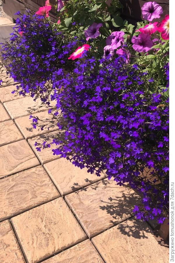 )Летом будет так...