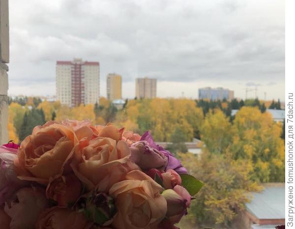 Вчера утром.