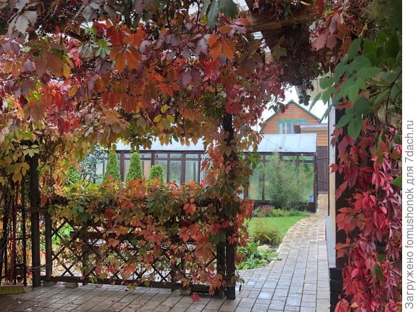 С &quot;окошечком&quot; увита одна из сторон парковки.