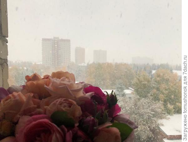 Сегодня утром.