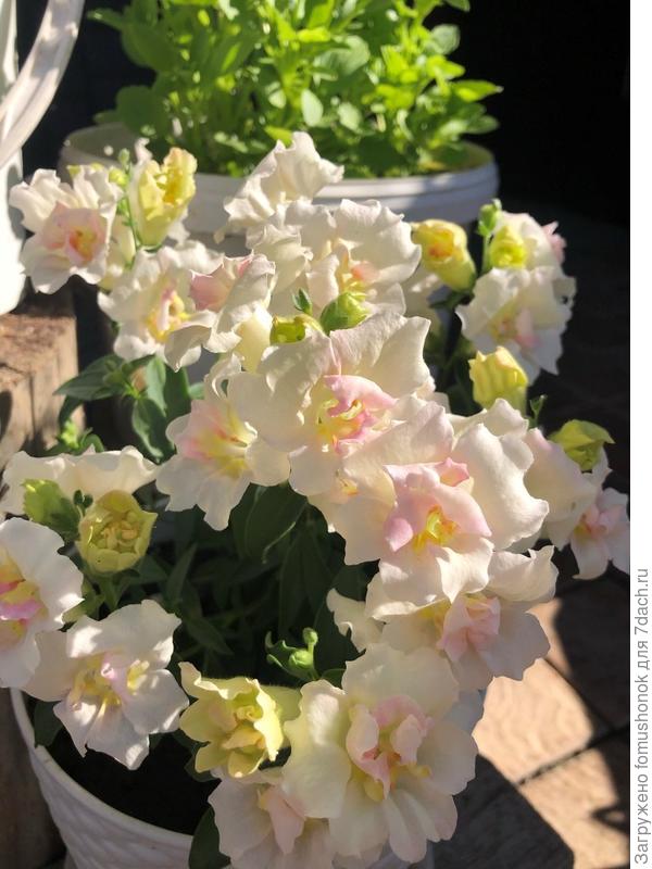 23 июня. Начало.