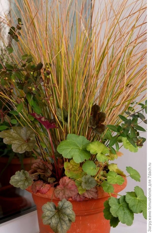 Весна 2016. ) Ждёт выезда на дачу.