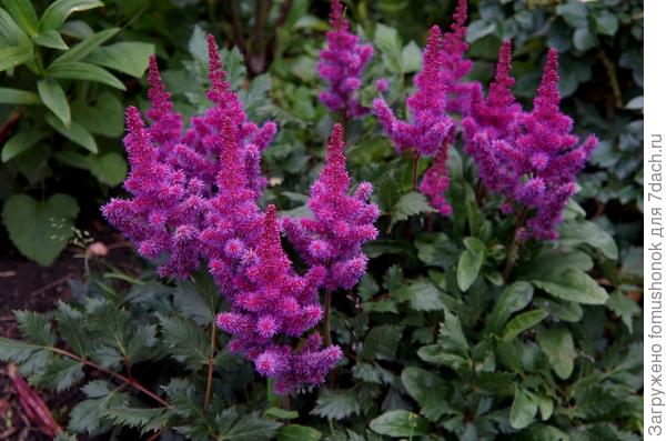 У меня самые низкие Vision in Red