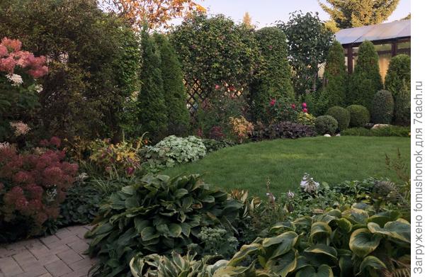 Сентябрь. Мне кажется, манжетку даже болезни не портят.))