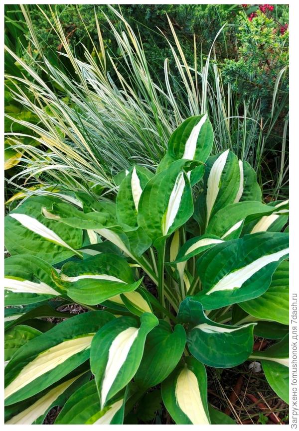 Лето продолжается...