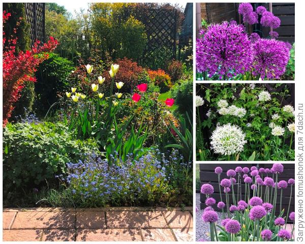 А вот уже и июнь.