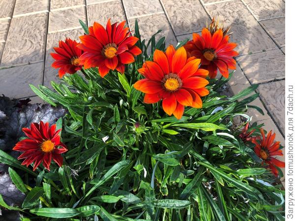 Это уже конец сентября.