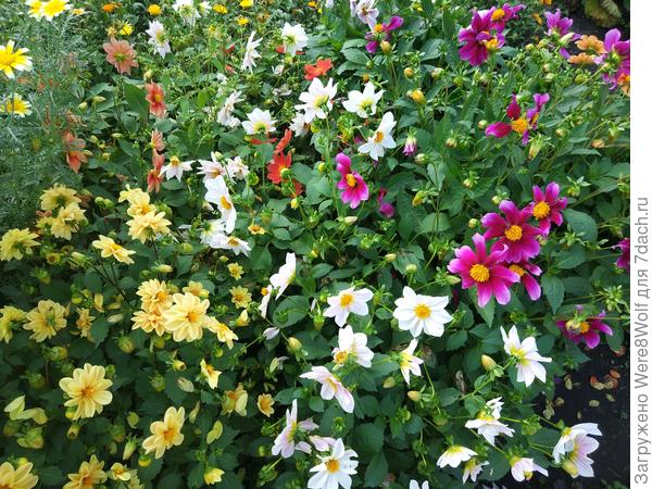 &amp;quot;Весёлые ребята&amp;quot;