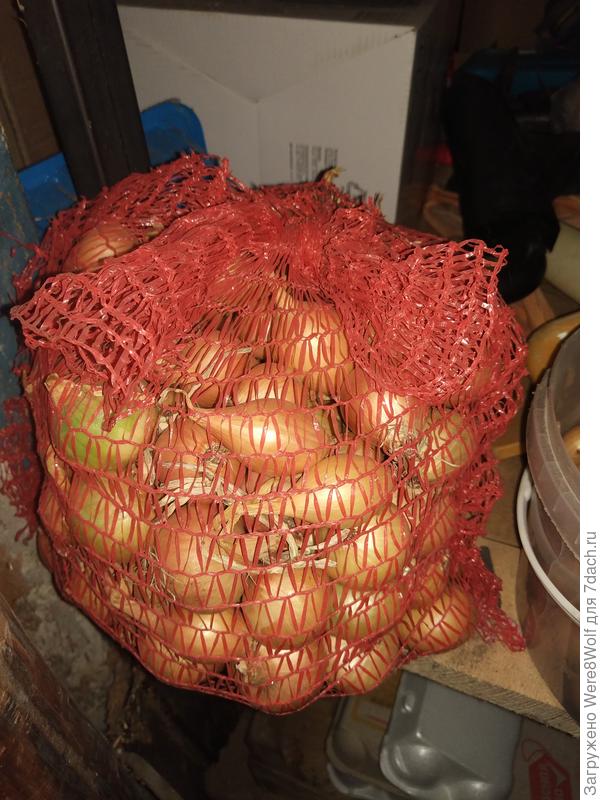 Весь наш урожай, почти столько же, сколько и посадили