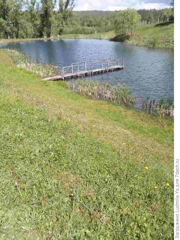 23. Деревенский пруд - в шаговой доступности - за нижней границей нашего участка. Фото просто для настроения, для подтверждения окружающей нас красоты