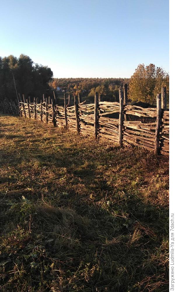 Тот же колоритный плетень. Пока послужит))) Потом заменим на экологический и гармонично вписывающийся в пейзаж деревянный. Планируем из необрезной доски, поперечно.