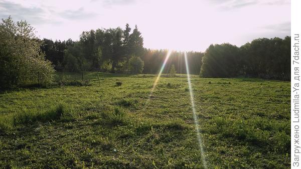 17. Еще одно фото видовой картины с террасы будущего фото. Налево после высоких кустарников (разрослась соседская вишня) - поперечная граница с соседом слева (весной посадили живую изгородь)