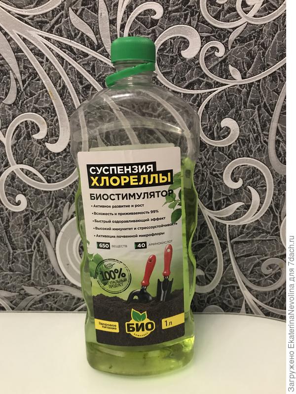 Суспензия хлореллы