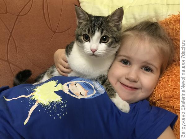 Кошка выбирает себе хозяина, и никак иначе.