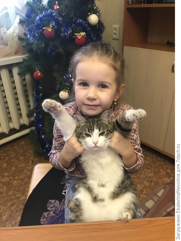 Мурзик- Поддаётся дрессировке