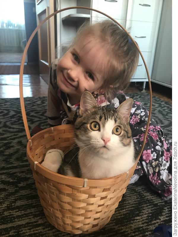 В гостях у бабушки и Мурзика